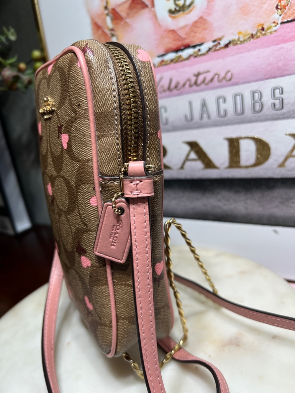 Coach North/South Zip Crossbody
In Signature Canvas With Heart Floral Print - Picture 6 of 11